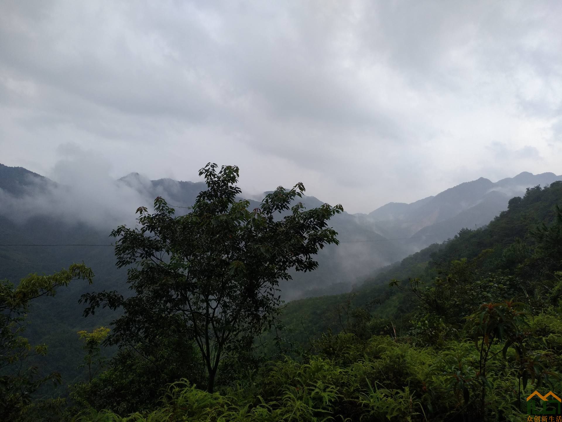 美不胜收——雨后云笼雾罩的洋西坑风光