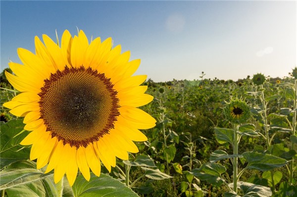 真正上进的人，从不和4种人“接触太深”，人生越过越好..